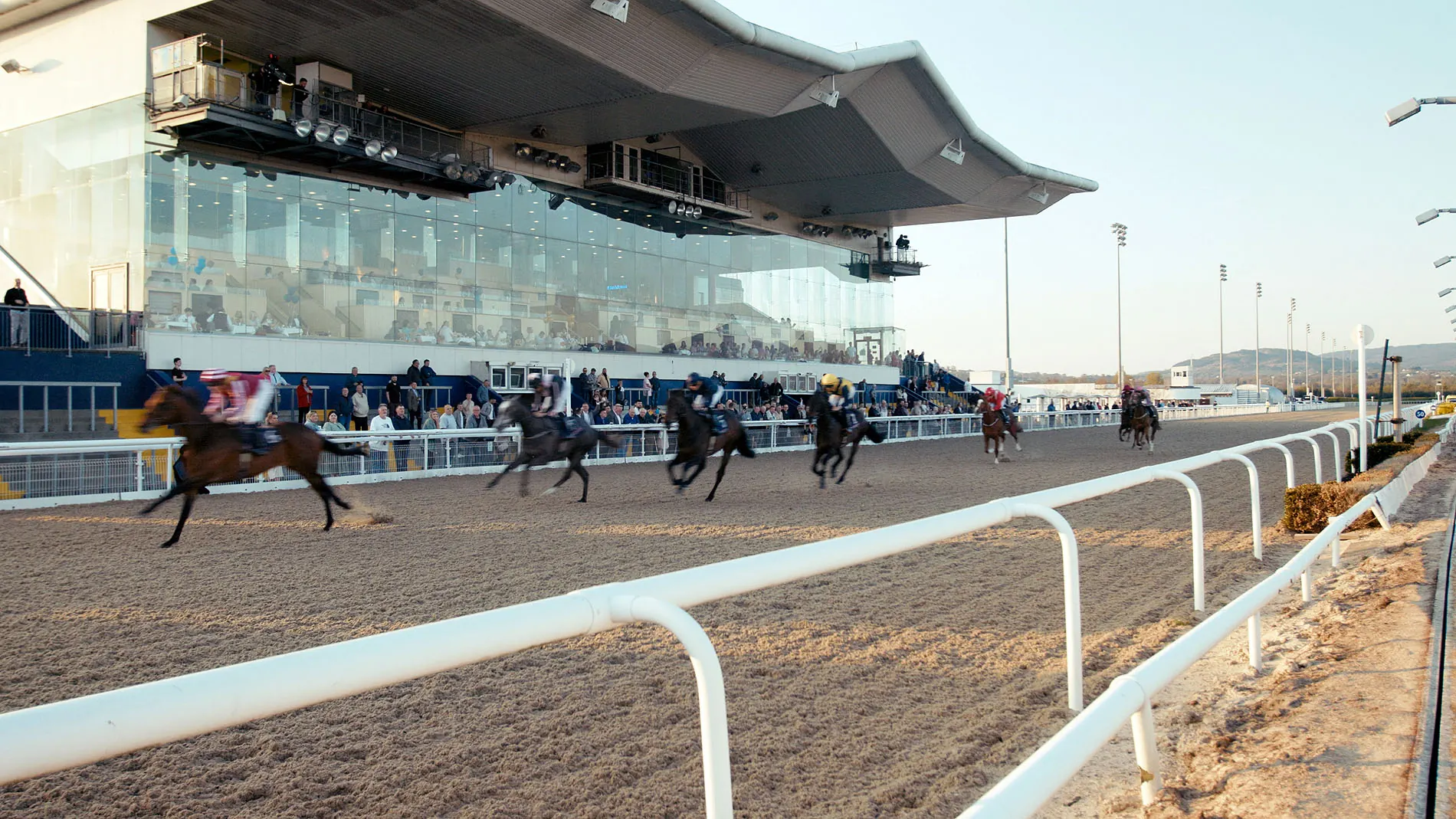 Horses running past the glass front of The View Restaurant.